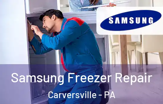  Samsung Freezer Repair Carversville - PA