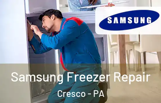  Samsung Freezer Repair Cresco - PA