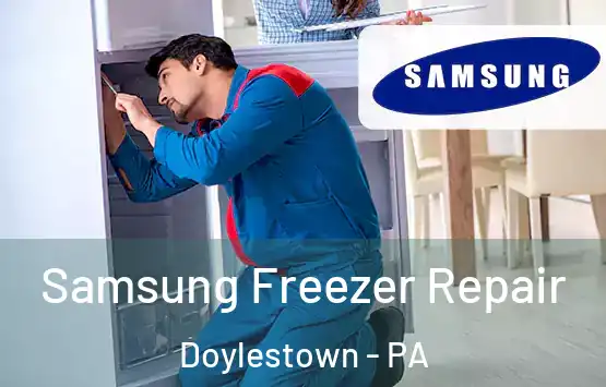  Samsung Freezer Repair Doylestown - PA