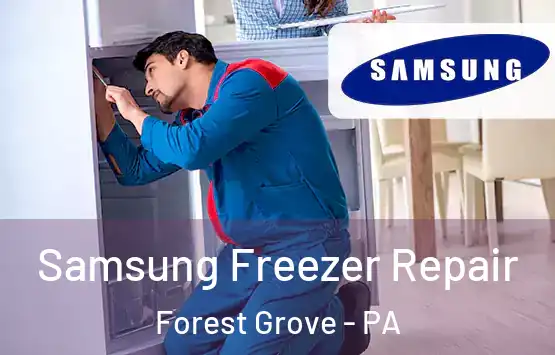  Samsung Freezer Repair Forest Grove - PA
