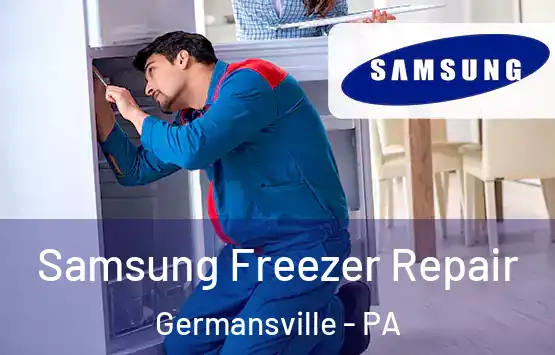  Samsung Freezer Repair Germansville - PA