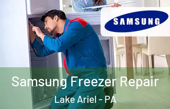  Samsung Freezer Repair Lake Ariel - PA