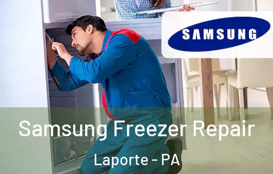  Samsung Freezer Repair Laporte - PA