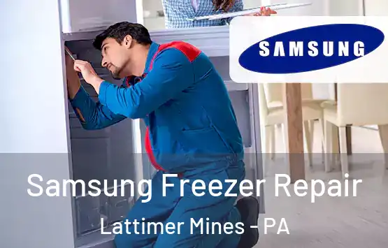  Samsung Freezer Repair Lattimer Mines - PA