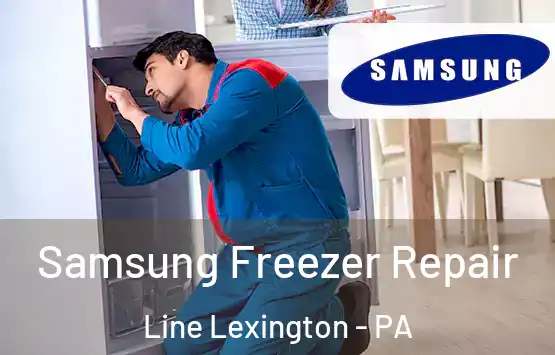  Samsung Freezer Repair Line Lexington - PA