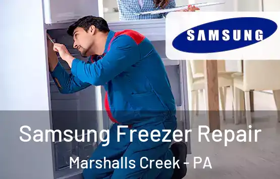  Samsung Freezer Repair Marshalls Creek - PA