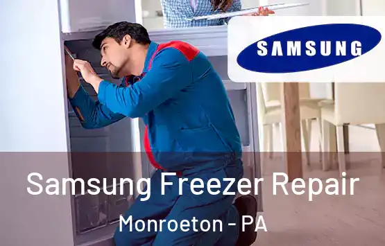  Samsung Freezer Repair Monroeton - PA