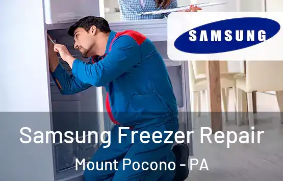  Samsung Freezer Repair Mount Pocono - PA