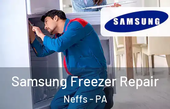  Samsung Freezer Repair Neffs - PA