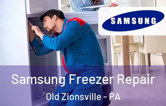  Samsung Freezer Repair Old Zionsville - PA