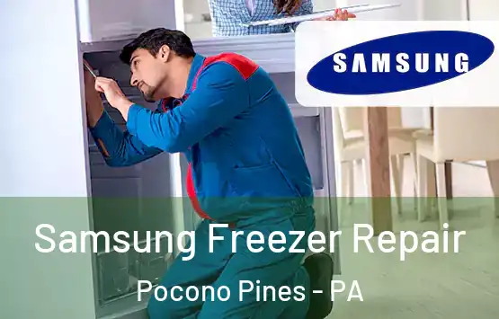  Samsung Freezer Repair Pocono Pines - PA