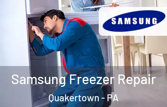  Samsung Freezer Repair Quakertown - PA