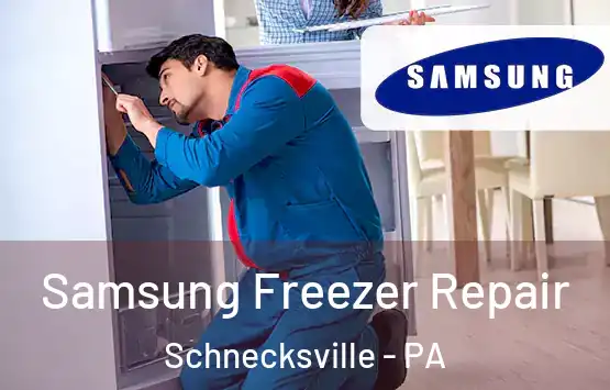  Samsung Freezer Repair Schnecksville - PA