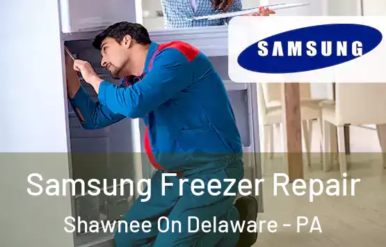  Samsung Freezer Repair Shawnee On Delaware - PA
