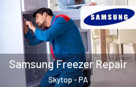  Samsung Freezer Repair Skytop - PA