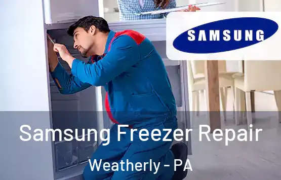  Samsung Freezer Repair Weatherly - PA