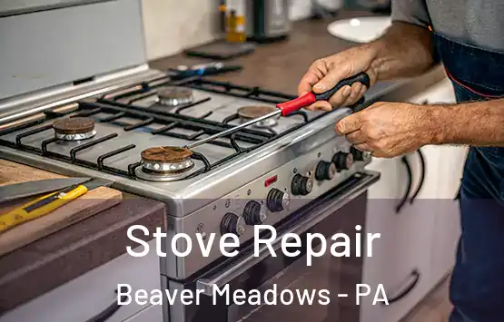  Stove Repair Beaver Meadows - PA