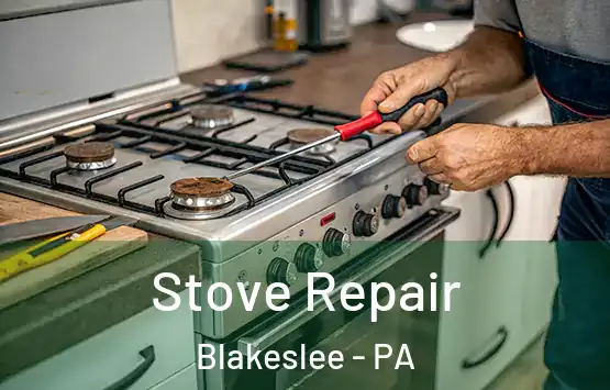  Stove Repair Blakeslee - PA