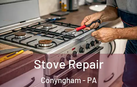  Stove Repair Conyngham - PA