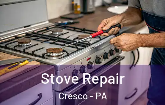  Stove Repair Cresco - PA