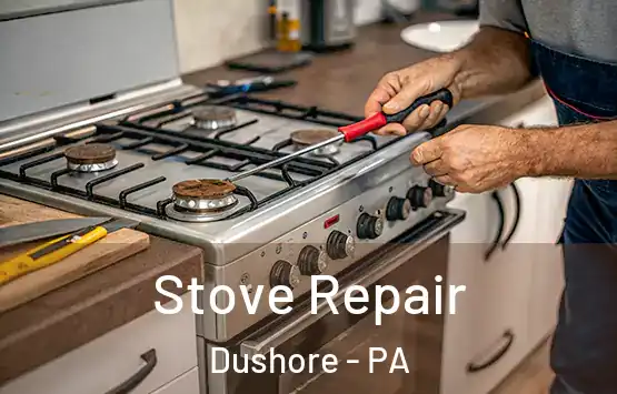  Stove Repair Dushore - PA