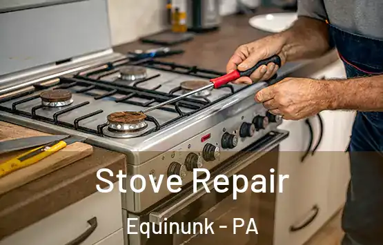  Stove Repair Equinunk - PA