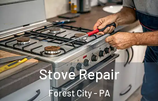  Stove Repair Forest City - PA
