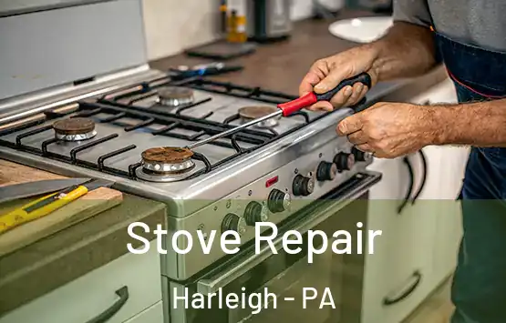  Stove Repair Harleigh - PA
