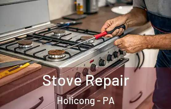  Stove Repair Holicong - PA