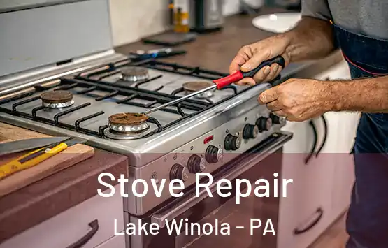  Stove Repair Lake Winola - PA