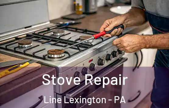  Stove Repair Line Lexington - PA