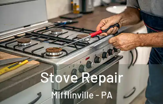  Stove Repair Mifflinville - PA