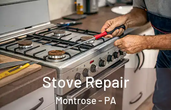  Stove Repair Montrose - PA