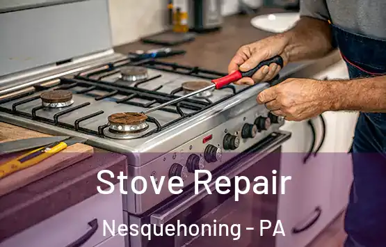  Stove Repair Nesquehoning - PA
