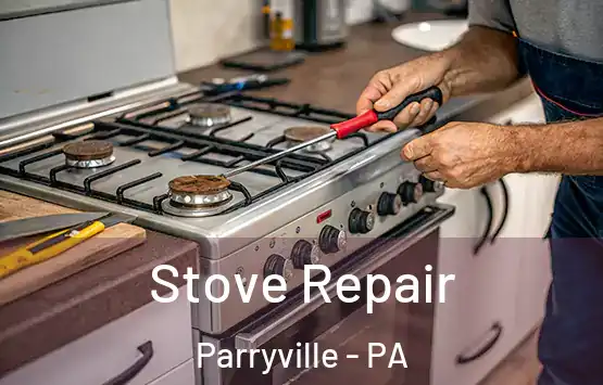  Stove Repair Parryville - PA