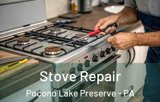  Stove Repair Pocono Lake Preserve - PA