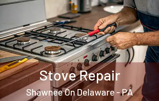  Stove Repair Shawnee On Delaware - PA