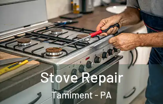  Stove Repair Tamiment - PA
