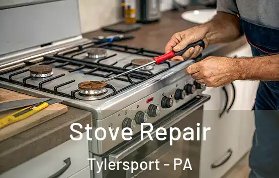  Stove Repair Tylersport - PA