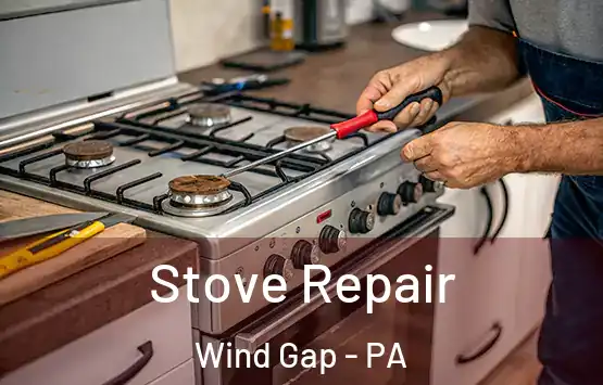  Stove Repair Wind Gap - PA