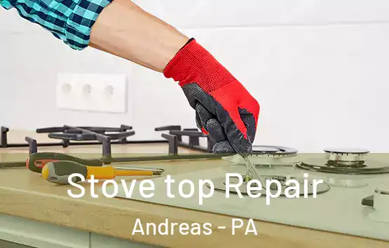  Stove top Repair Andreas - PA