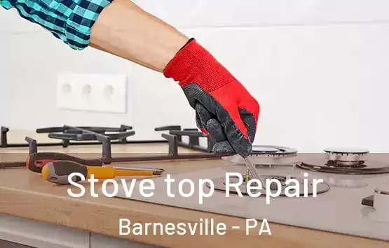  Stove top Repair Barnesville - PA