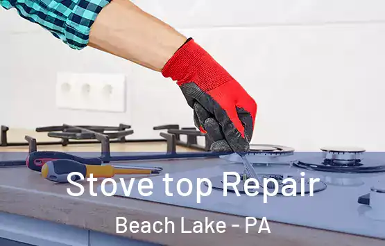  Stove top Repair Beach Lake - PA