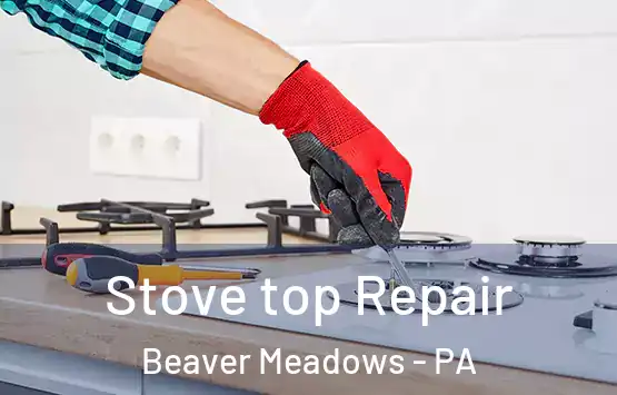  Stove top Repair Beaver Meadows - PA
