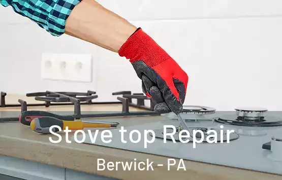  Stove top Repair Berwick - PA