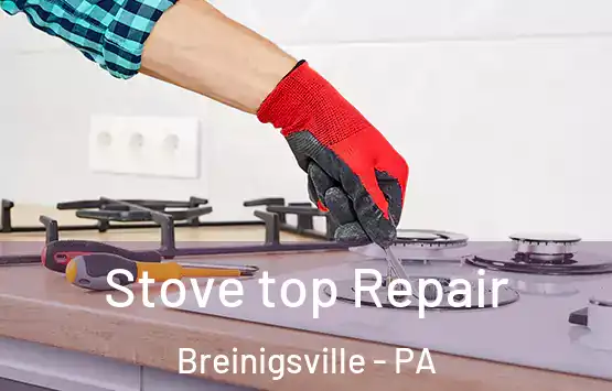  Stove top Repair Breinigsville - PA