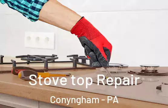  Stove top Repair Conyngham - PA