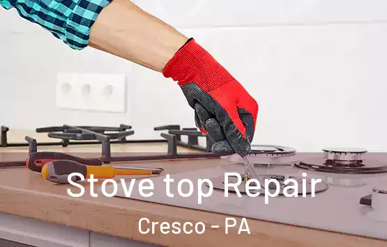  Stove top Repair Cresco - PA