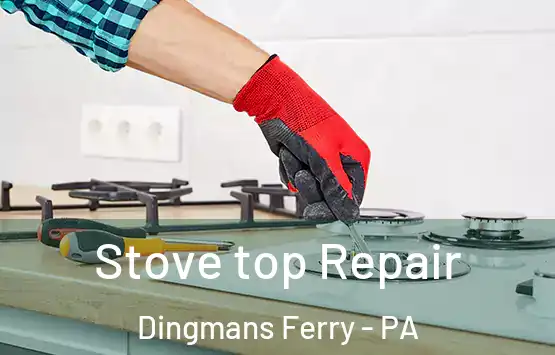  Stove top Repair Dingmans Ferry - PA