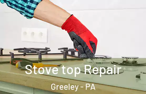  Stove top Repair Greeley - PA